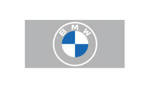 Michael Everhard British eLearning Voiceover BMW Logo